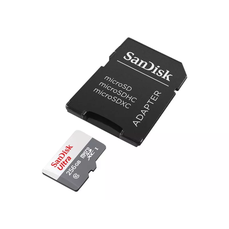 Memória Flash SanDisk 256 GB MicroSDXC UHS-I SDSQUNR-256G-GN6TA