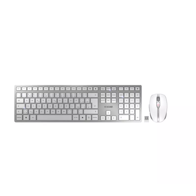 Teclado e rato finos CHERRY DW 9100 universal RF wireless + Bluetooth checo, eslovaco prateado
