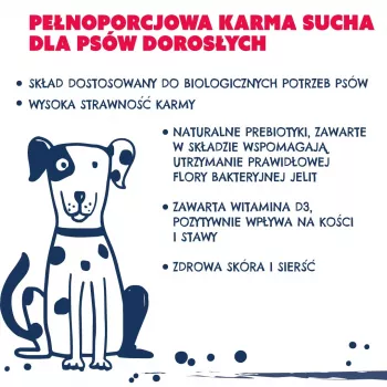 TEO rico em carne de bovino - ração seca para cães - 9kg