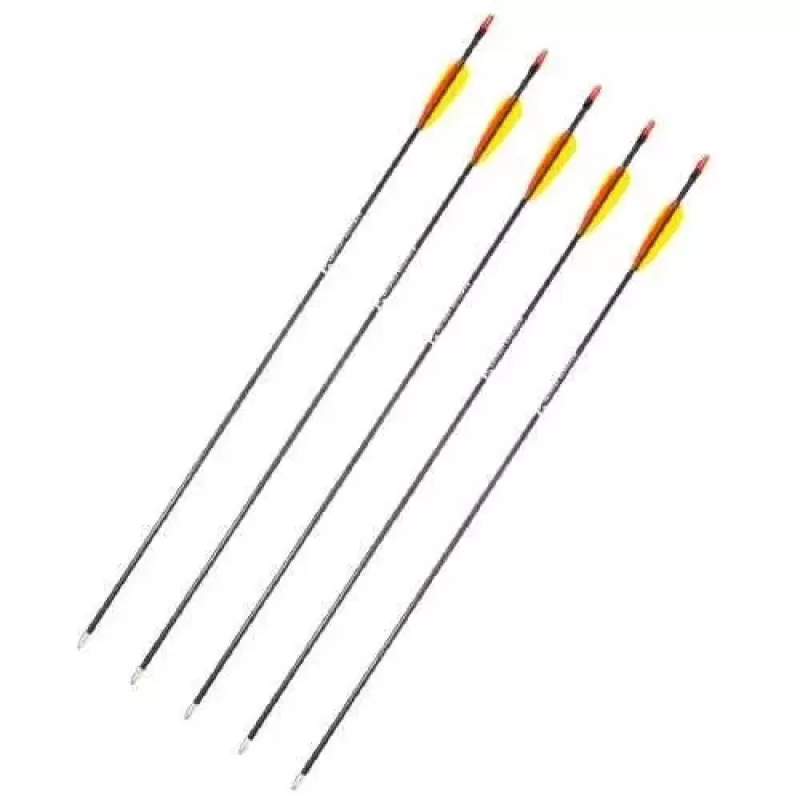 Poe Lang D-055-B3 setas de fibra de vidro, 28 polegadas, conjunto de 5