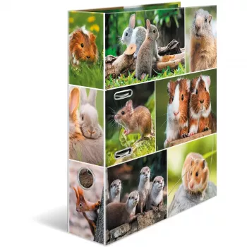 HERMA 19252 Dossier A4 multicolor com anéis D
