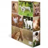 Dossier HERMA 19253 A4 multicolorido cartão 285x315 mm