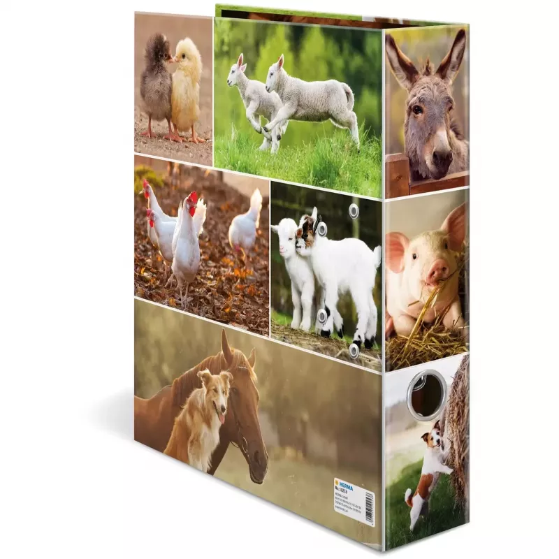 Dossier HERMA 19253 A4 multicolorido cartão 285x315 mm
