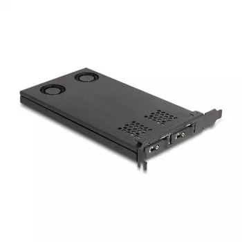 Suporte de placa Delock PCI Express x16 para 2 x M.2 NVMe SSD bifurcação 47042