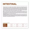 VET EXPERT Veterinary Diet Intestinal Dog - Comida seca para cães - 12 kg