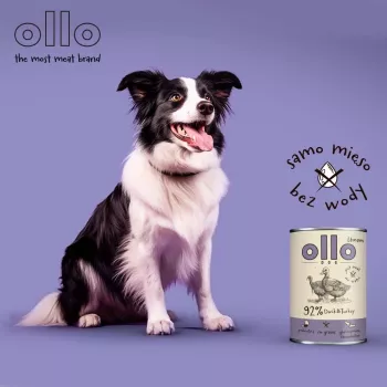 OLLO Umami pato e peru - Ração húmida para cães - 850g