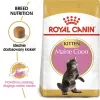 Comida seca para gatos Royal Canin Maine Coon Kitten 2 kg — aves, proteína 36%, gordura 23%