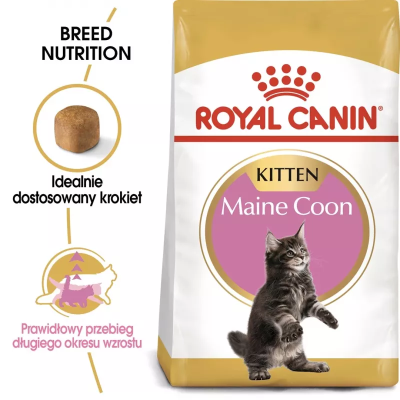 Comida seca para gatos Royal Canin Maine Coon Kitten 2 kg — aves, proteína 36%, gordura 23%
