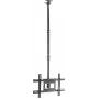 SpeaKa Professional SP-TVCM-540 suporte de teto para TV regulável em altura 94,0 cm 37 - 203,2 80 (SP-13660960)