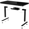 Secretária gaming de altura ajustável com dois motores, função sentado/em pé, carregador sem fios, iluminação RGB, painel de controlo e portas USB, tampo em vidro temperado, preto