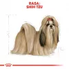 Royal Canin BHN Shih Tzu Adult ração seca para cães, 7,5 kg