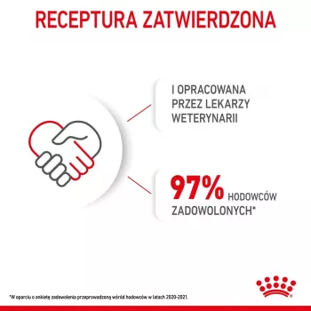 Ração seca para cães Royal Canin Mini Puppy 4 kg — frango, 31 % proteína, 20 % gordura, para cachorros de raças pequenas (5–10 kg)
