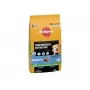 Pedigree Professional Nutrition Junior ração seca para cães com aves e legumes, raças médias e grandes, 12 kg