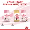 Royal Canin BABYCAT INSTINCTIVE - Ração húmida para gatos - 195 g