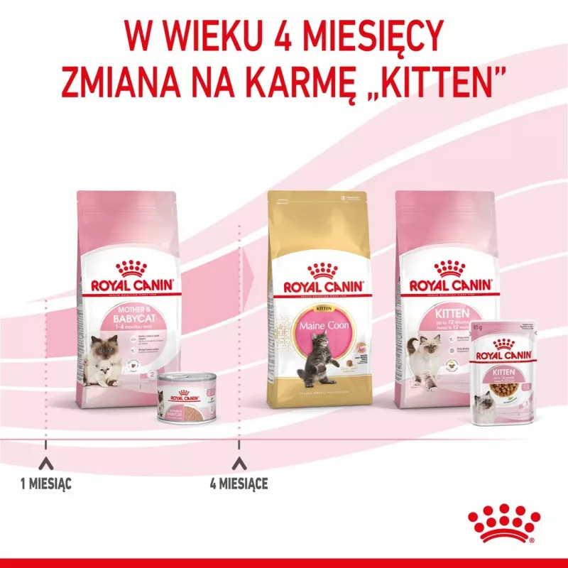 Royal Canin BABYCAT INSTINCTIVE - Ração húmida para gatos - 195 g