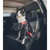 Arnês para cão ZOLUX TRAVEL SAFE M, tamanho M, vermelho