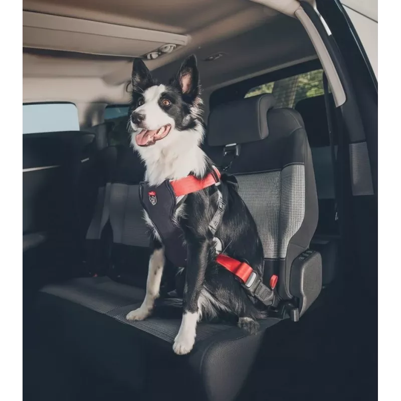 Arnês para cão ZOLUX TRAVEL SAFE M, tamanho M, vermelho