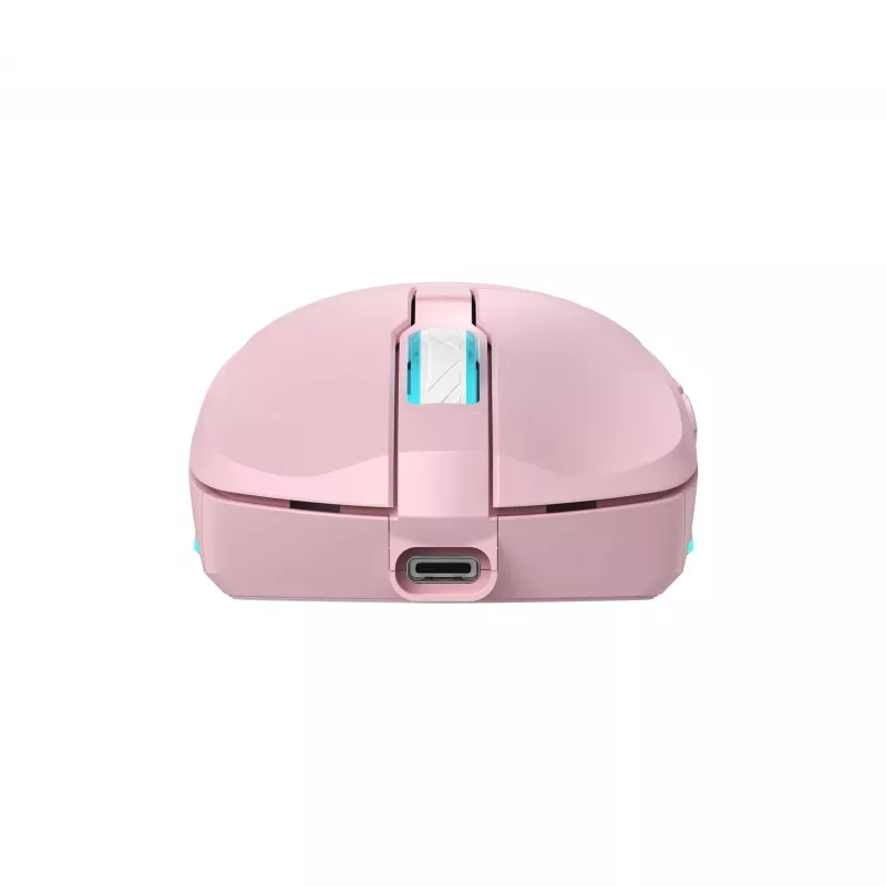 Rato Baracuda BGM-124 Turtle rosa TURTLE-P