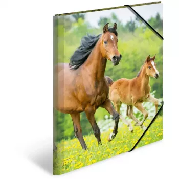 Dossier polipropileno (PP) HERMA 7145 A3 multicolor