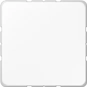 JUNG CD 594-0 WW tampa cega com anel de suporte, branco