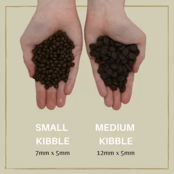 Ração seca para cães Eden Puppy Cuisine 80/20 croquete médio 2 kg — ração para cachorros, salmão, 40 % proteína, 17,5 % gordura