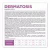 VETEXPERT Veterinary Diet Dermatosis Dog Lamb & Krill ração seca para cães, 2 kg