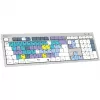 Logickeyboard LKB-RESC-CWMU-UK teclado Office USB QWERTY inglês