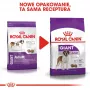 ROYAL CANIN Giant Adult - Ração seca para cães - 15 kg