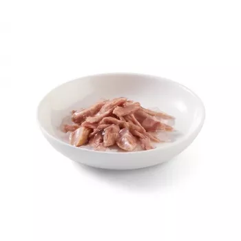 SCHESIR em geleia Atum - Alimento húmido para gatos - 85 g