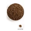 ACANA Wild Prairie Cat - ração seca para gatos - 1,8kg