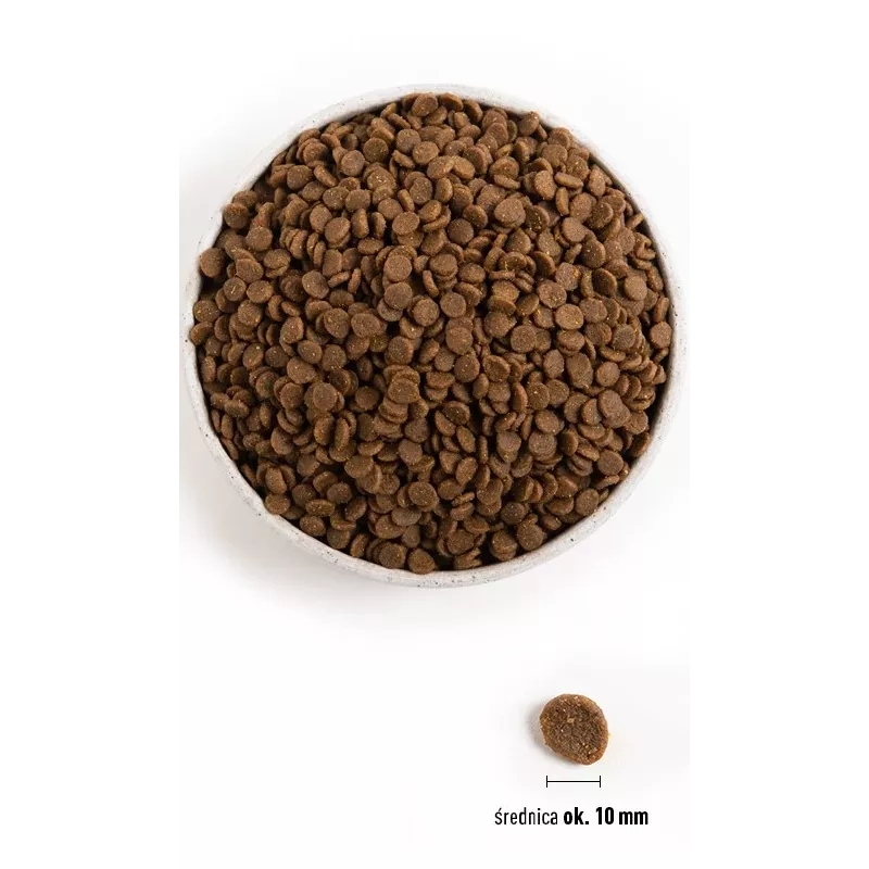 ACANA Wild Prairie Cat - ração seca para gatos - 1,8kg