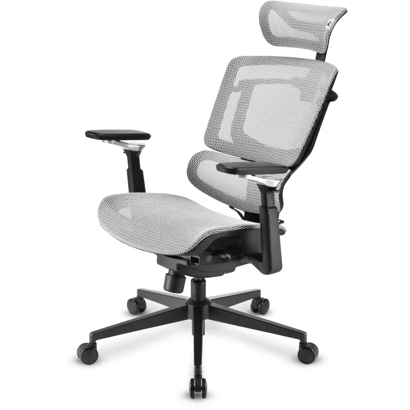 Cadeira de escritório Sharkoon OfficePal C50M — assento acolchoado, encosto em rede, preta, encosto 49 × 63 cm, largura do assento 50 cm