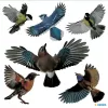 Autocolante decorativo HERMA 15539 película multicolor removível pássaro