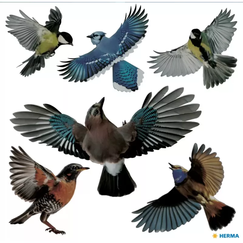 Autocolante decorativo HERMA 15539 película multicolor removível pássaro