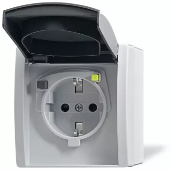 Busch-jaeger 2CKA003116A0664 Cinzento