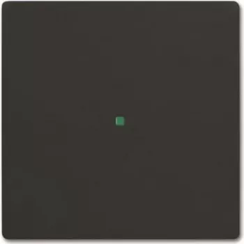 BUSCH JAEGER Tecla 6230-10-885 Simples preto mate