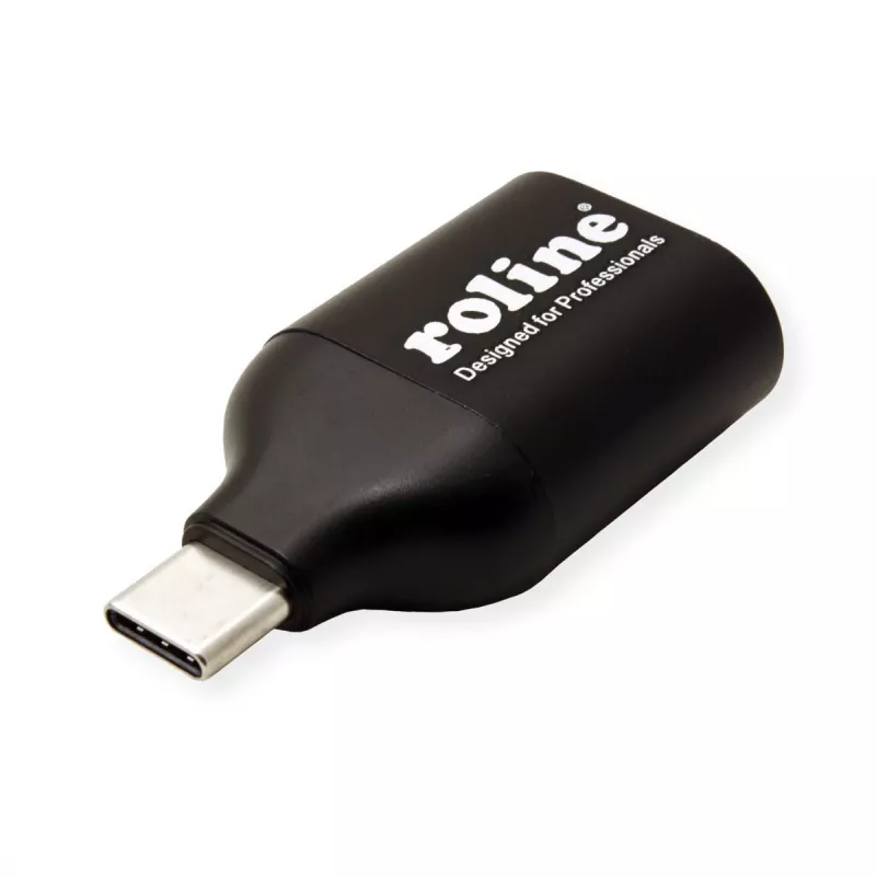 ROLINE 12.03.3228 Adaptador gráfico USB 1920 x 1080 píxeis preto (12.03.3228)