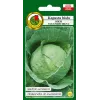 PNOS couve branca Roem Van Enkhuizen 2 sementes de hortícolas, 2 g