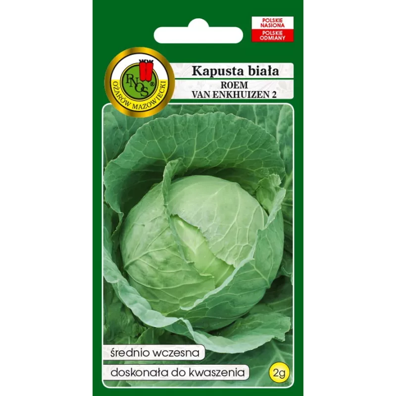 PNOS couve branca Roem Van Enkhuizen 2 sementes de hortícolas, 2 g