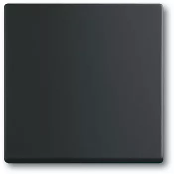 Interruptor de luz Busch-Jaeger 1751-0-3041, caixa de plástico, preto, botões, 63×63 mm