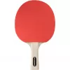 Conjunto de ténis de mesa Friends, equipamento de fitness para 4 jogadores