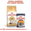 Royal Canin FBN Ragdoll Adult ração seca para gatos, 2 kg