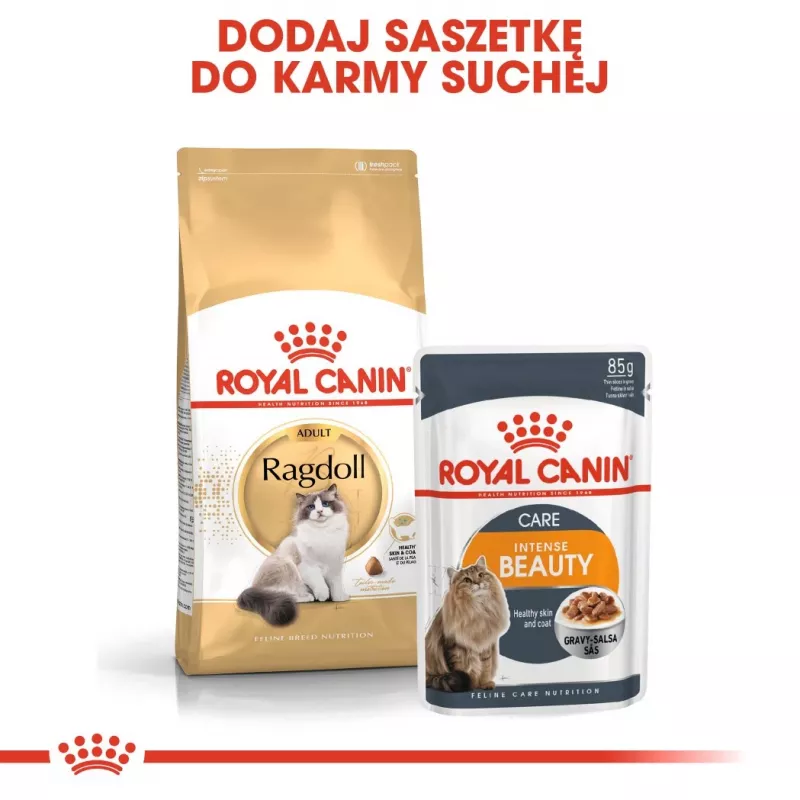 Royal Canin FBN Ragdoll Adult ração seca para gatos, 2 kg