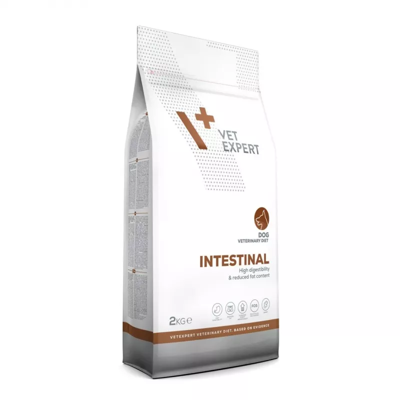 VET EXPERT Veterinary Diet Intestinal Dog - Alimento seco para cães - 2 kg