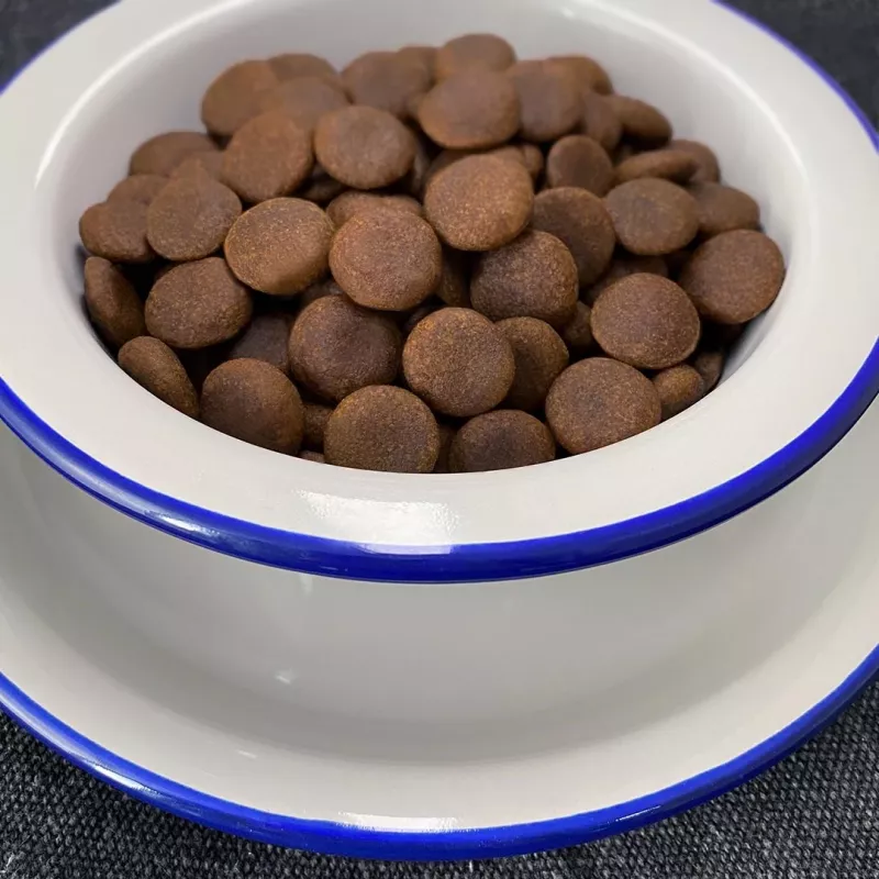 FOLK raças médias e grandes assado de borrego à moda de Podhale com codorniz e salsa - comida seca para cães - 12 kg