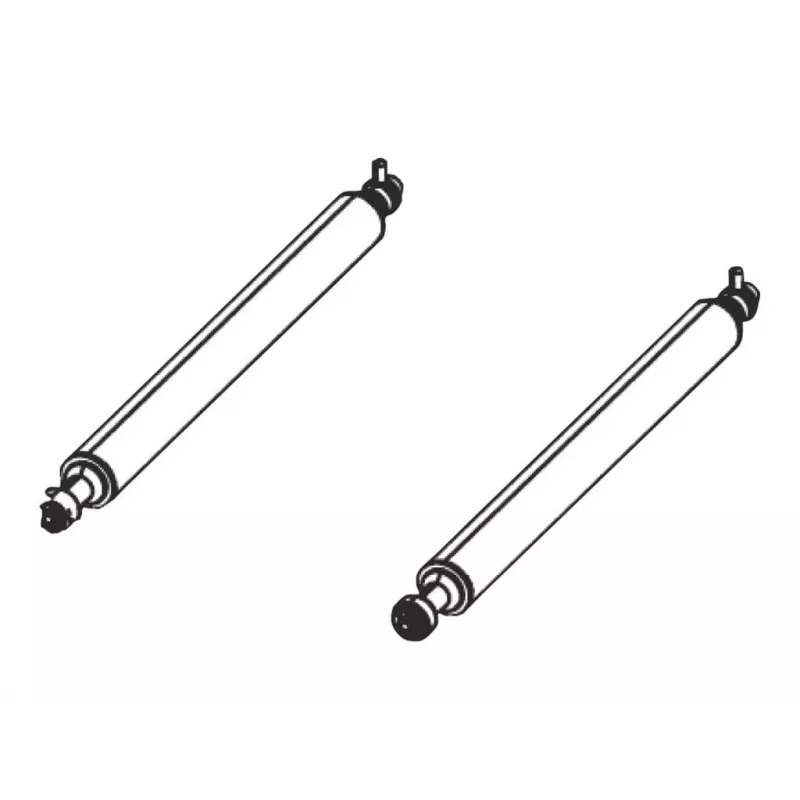 Kit de impressora Zebra P1046696-060