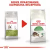 Ração seca para gatos Royal Canin Active Life Outdoor 4 kg — adulto, aves, 30% proteína, 20% gordura
