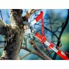 Tesoura de poda com bigorna WOLF-Garten RC-M