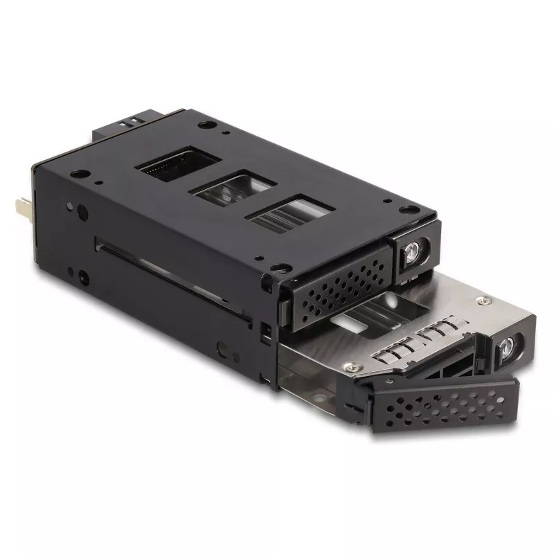 Delock - Rack de armazenamento móvel - baía fina - 5,25 para 2 x 2,5 (13,3 cm para 2 x 6,4 cm) - preto (47019)
