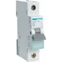Hager MBN106. Frequência de entrada CA: 50/60 Hz, corrente nominal de saída: 6 A (MBN106)